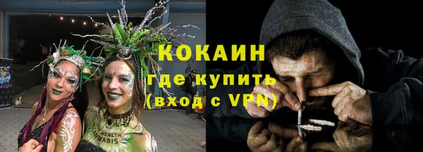 тгк Алзамай