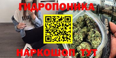 ГАЛЛЮЦИНОГЕННЫЕ ГРИБЫ Волжский