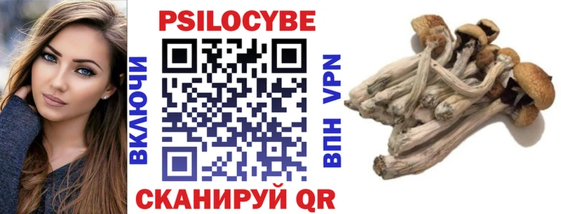 Галлюциногенные грибы Psilocybine cubensis  shop как зайти  Новодвинск 