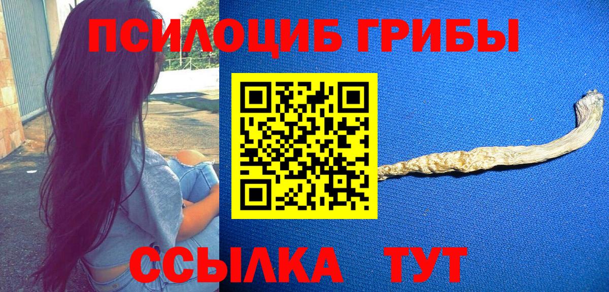 Галлюциногенные грибы мицелий  Вход с VPN  закладка  Новодвинск 